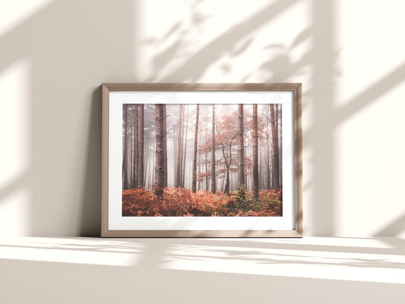 Tree Photography Wall Art, Foggy Autumn Woodland Landscape, Forest Wall Art, Botanical Wall Art, Living Room Print, Office Wall Art 画像 6