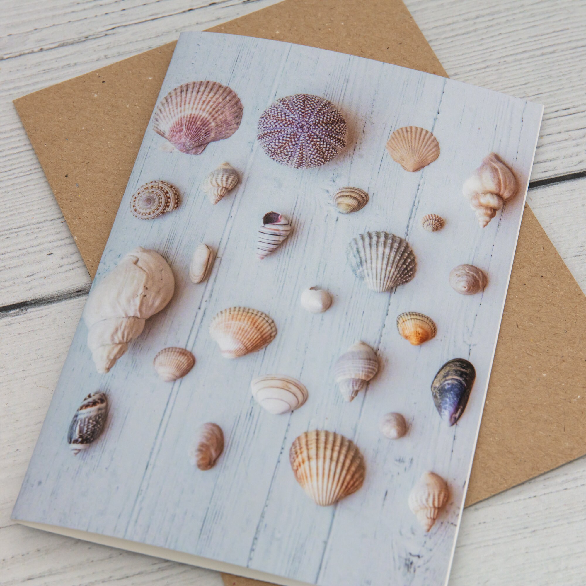 Set of 8 Seashell Note Cards Seashell Greeting Cards Blank | Etsy