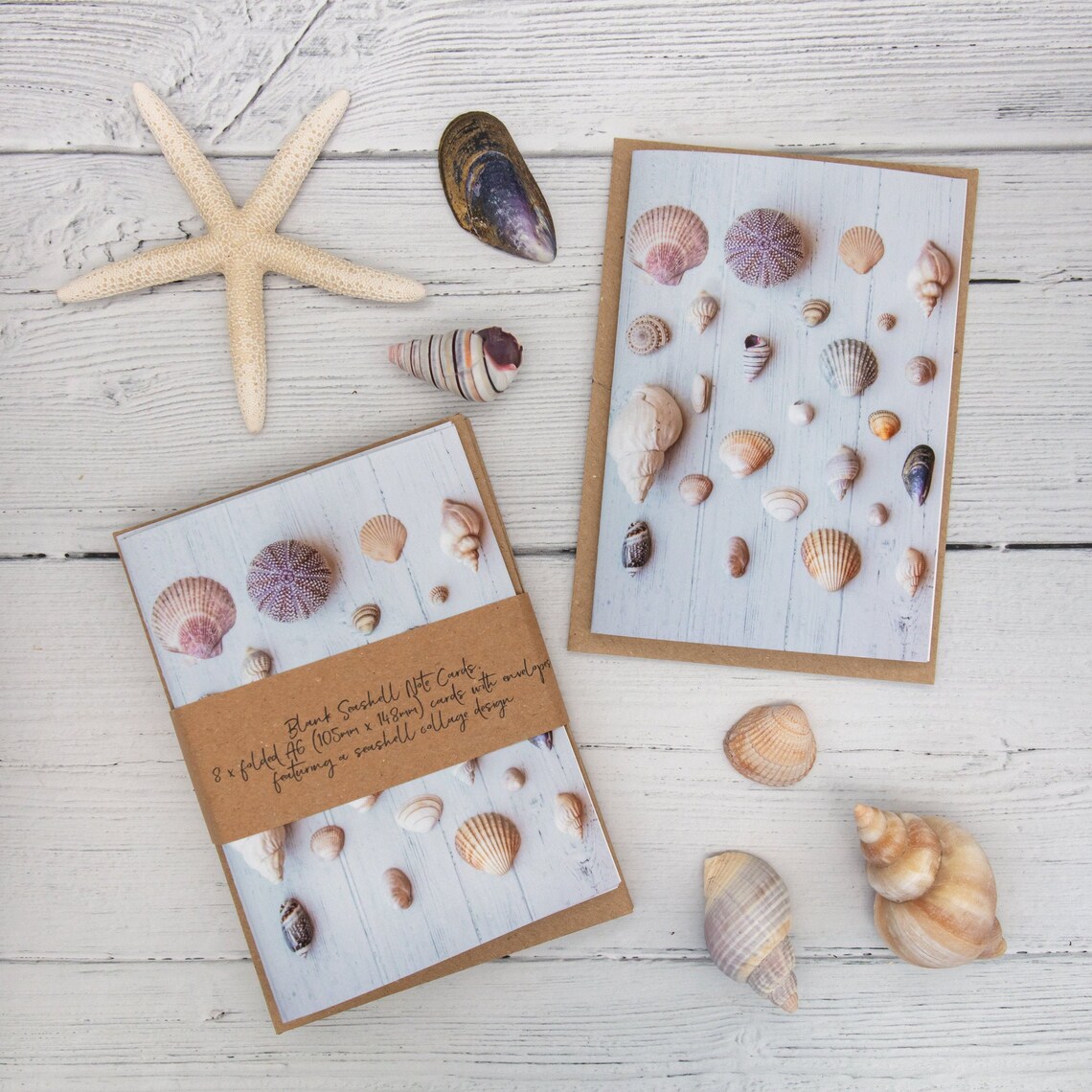 Set of 8 Seashell Note Cards Seashell Greeting Cards Blank Etsy