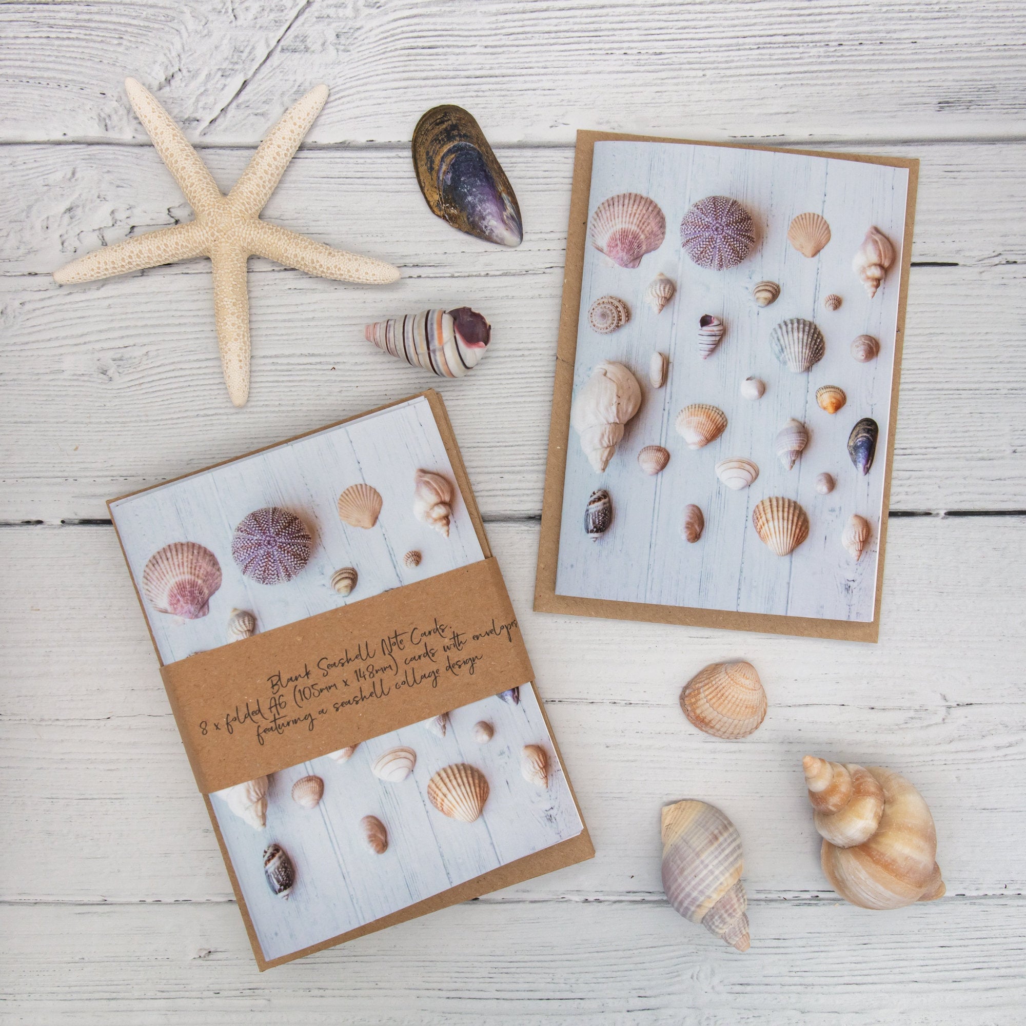 Set of 8 Seashell Note Cards Seashell Greeting Cards Blank | Etsy