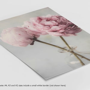 Pink Floral Print Set of 3, Pink Peonies Wall Art, Flower Prints ...