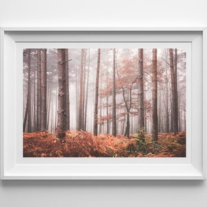 Tree Photography Wall Art, Foggy Autumn Woodland Landscape, Forest Wall Art, Botanical Wall Art, Living Room Print, Office Wall Art 画像 5