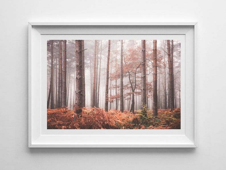 Tree Photography Wall Art, Foggy Autumn Woodland Landscape, Forest Wall Art, Botanical Wall Art, Living Room Print, Office Wall Art 画像 5