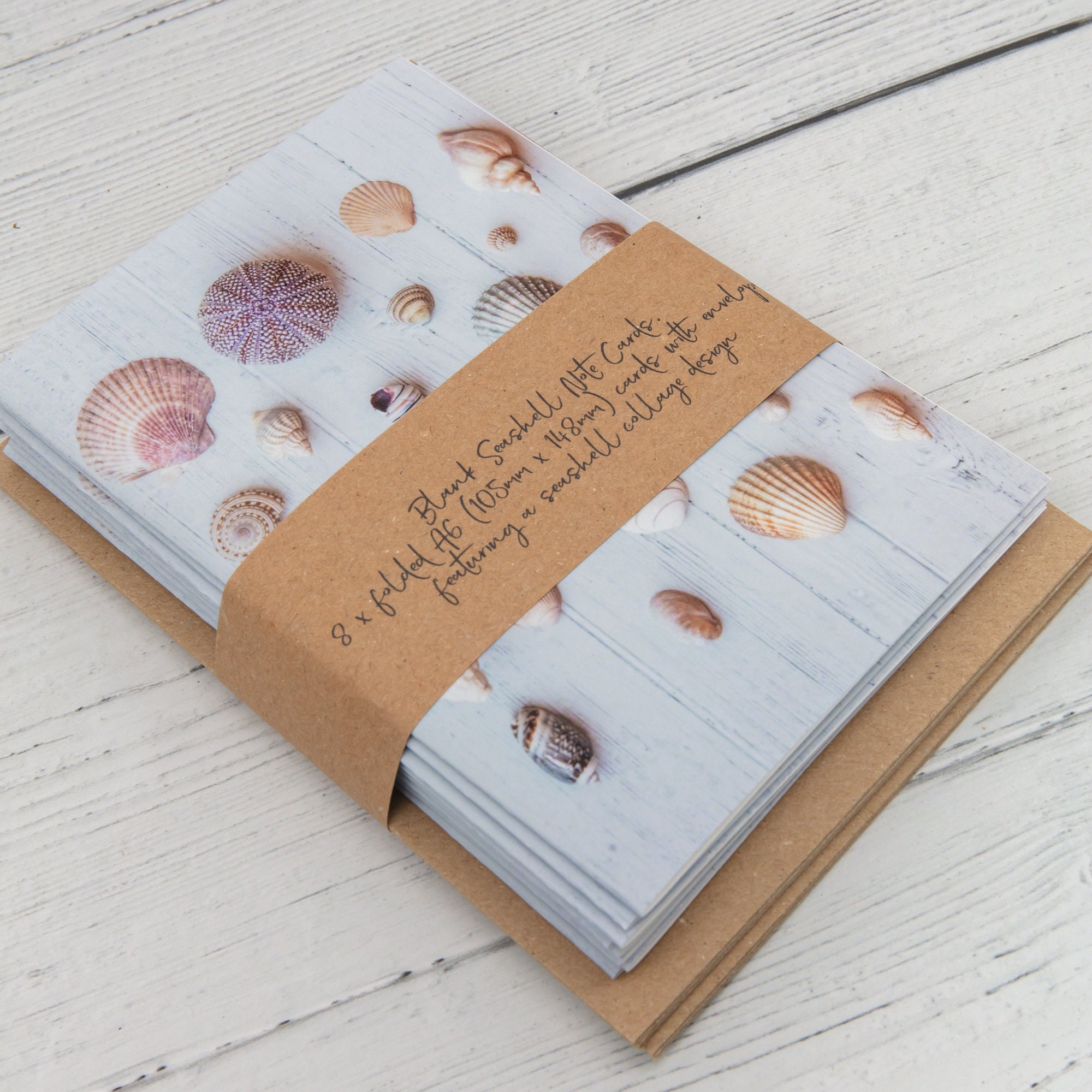 Set of 8 Seashell Note Cards Seashell Greeting Cards Blank Etsy