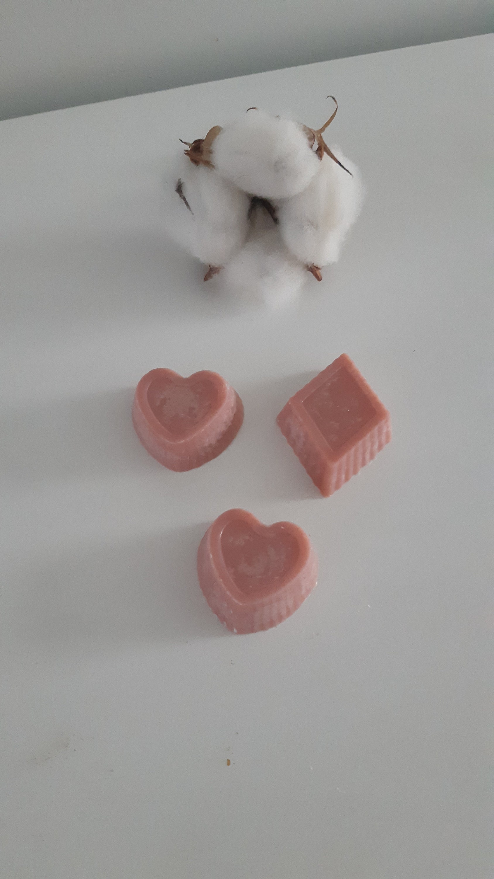 Mini Fondant Cerise Exquise