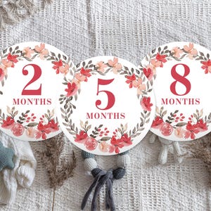 Modèle de marqueur jalon floral rose pour bébé, jalons importants pour bébé fille, couverture bébé jalon, imprimable, modifiable, cartes jalon