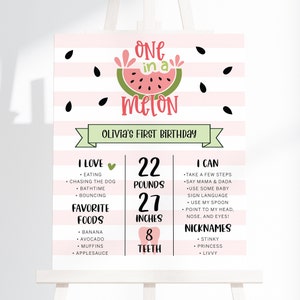 One In A Melon First Birthday Sign Template, First Birthday Milestone Poster, One In A Melon Birthday, Birthday Stats Sign, Printable, AD30