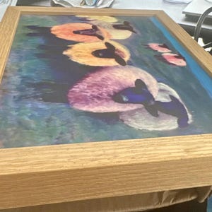 May include: Framed artwork featuring a watercolor painting of several swans floating on water. The swans have black heads and necks, with white and colorful bodies in shades of pink, orange, and yellow. The water is blue and green.