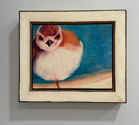 Bird Art on wood giclee print framed , colorful coastal bird  made from pastel,  giclee wood print , fully framed , cottagecore