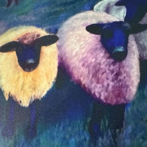 May include: A colorful painting of several sheep with fluffy wool. The sheep have black faces and ears, and their wool is various shades of yellow, pink, and white. The background is a blend of blue and green.