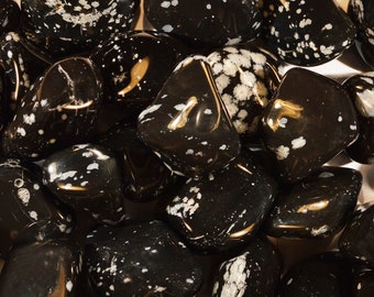 May include: A close-up of a group of black and white speckled stones. The stones are smooth and polished, and they have a natural, organic look.