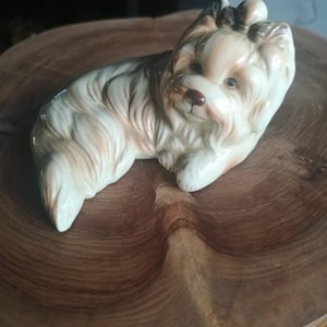 Vintage Yorkshire Terrier van Vaga International