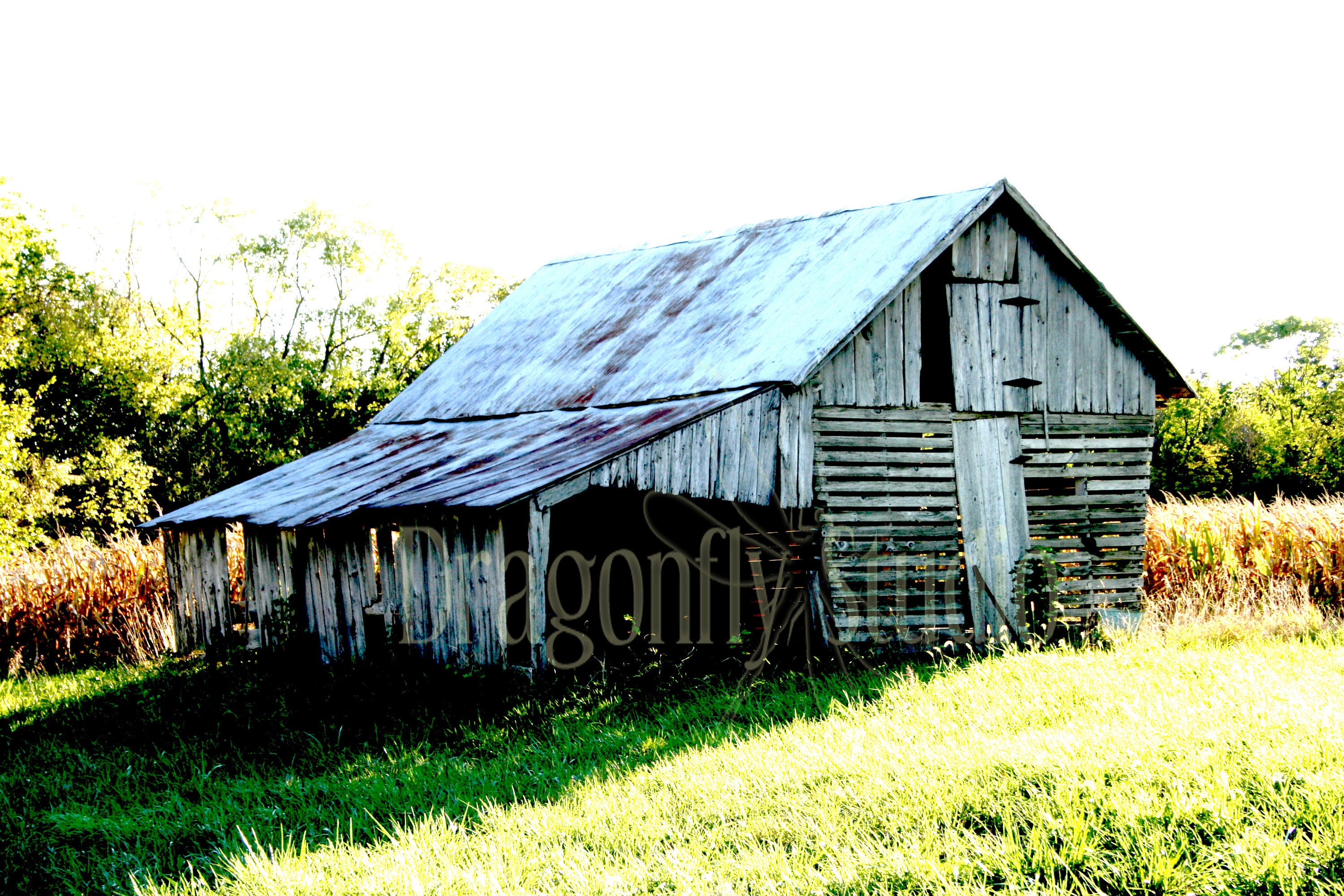 Rustic Old Barn Photograph, Farmhouse Decor (digital Download) - Etsy