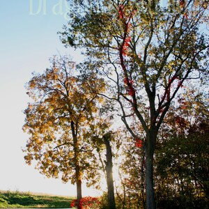 Land Schotterstrasse Bauernhof Ernte Landstrasse Fotografie Etsy
