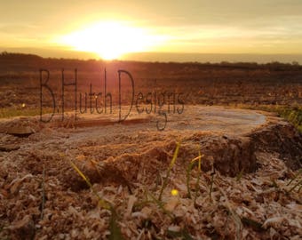 Lever du soleil d’or, digitale, Grain de bois, décoration d’intérieur, Art, photographie de Nature, mural bois imprime