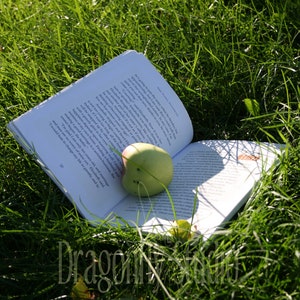 Food for the Mind, Digital Download, Bookworm, Nature Photography, Nature Print, Home Decor, Wall Art