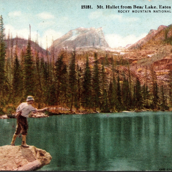 Rocky Mountains National Park Colorado CO Mt Hallet From Bear Lake Estes Park Postcard