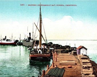 Eureka California CA  Humboldt Bay Ships Vintage Postcard