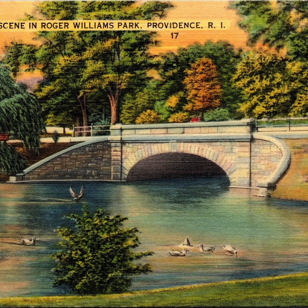 Providence Rhode Island RI Roger Williams Park Bridge Linen Vintage Postcard