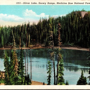 Medicine Bow National Forest Wyoming WY Silver Lake & Snowy Mountain Range Postcard