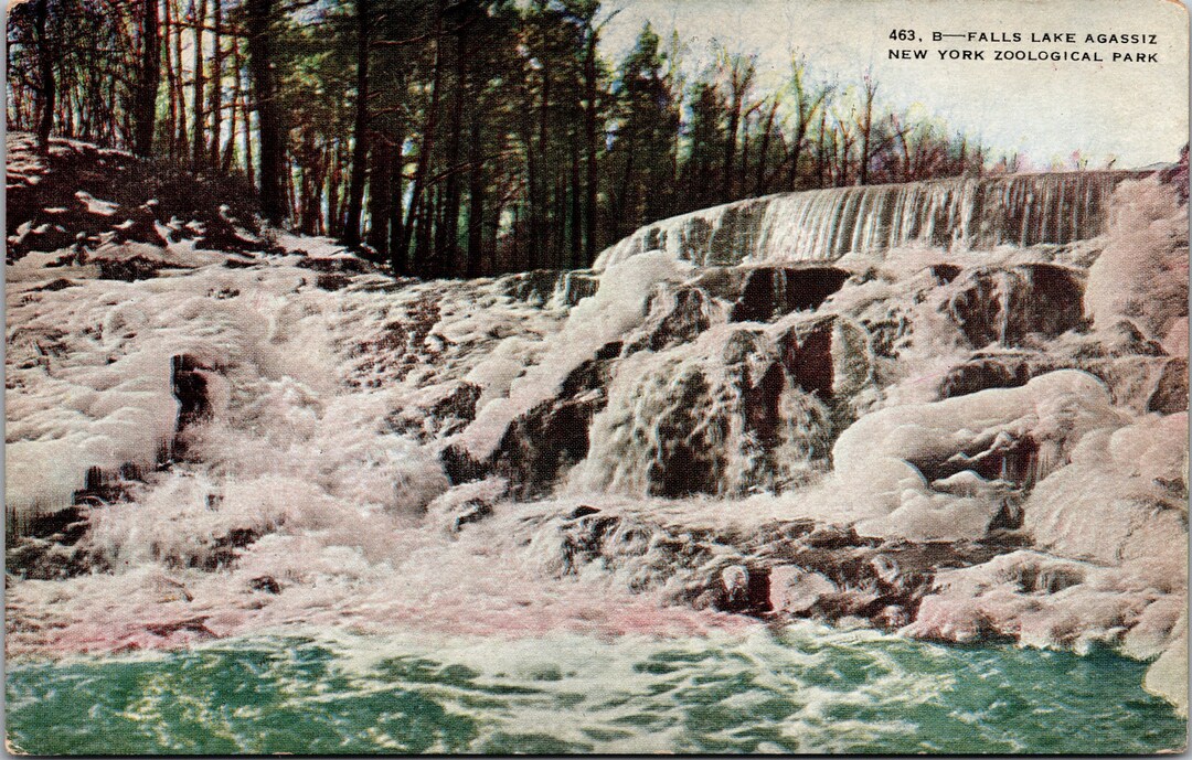 New York Zoological Park NY Falls Lake Agassiz Postcard Etsy