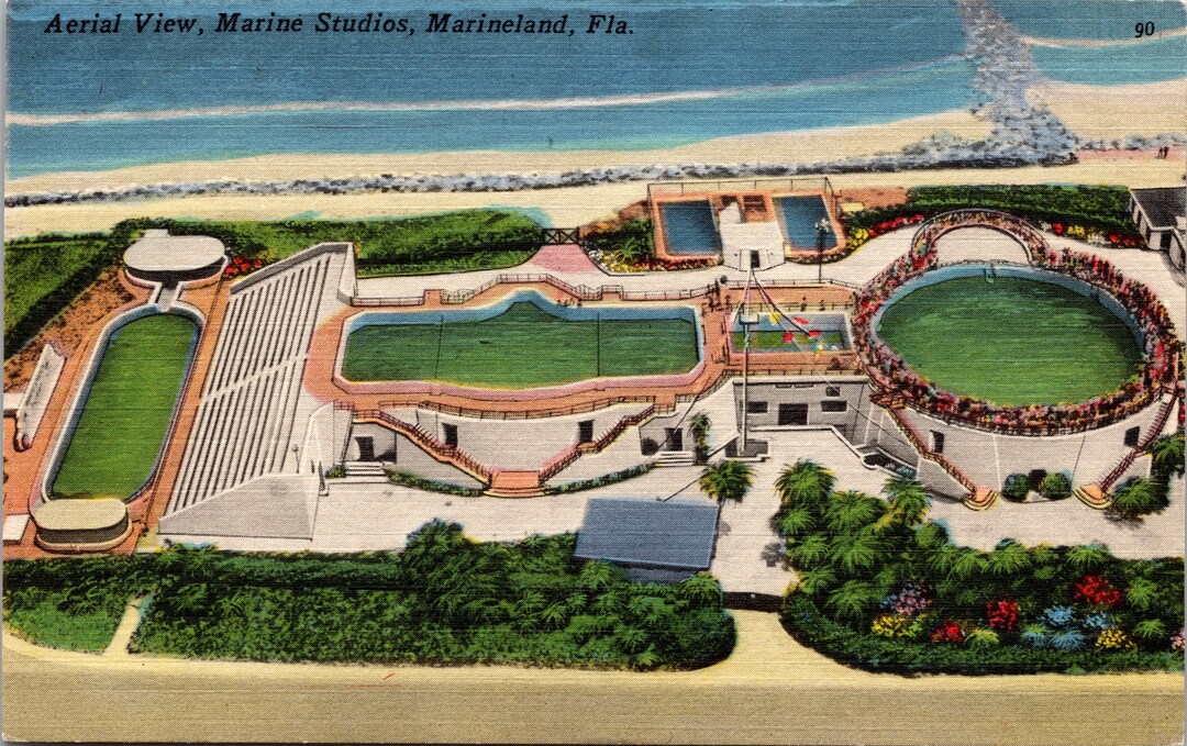 Marineland Florida FL Aerial View Marine Studios Linen Postcard Etsy