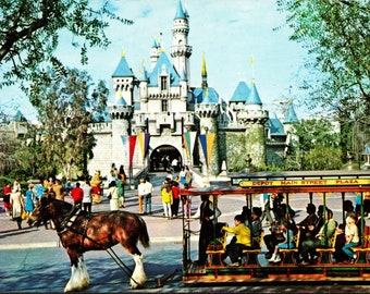 Anaheim California CA Disneyland Fantasyland Sleeping Beauty Castle Postcard