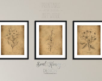 Downloadable Prints | Vintage Botanical Print Set | Set of 3 Prints | Printable Wall Art | Instant Artwork