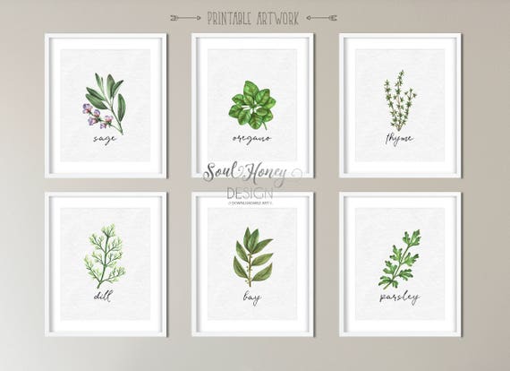 Downloadable Prints Set of 6 Watercolor Herb Prints | Etsy