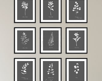 Set of 9 Botanical Watercolor Prints | Printable Wall Art | Dining Room Wall Decor | Downloadable Prints