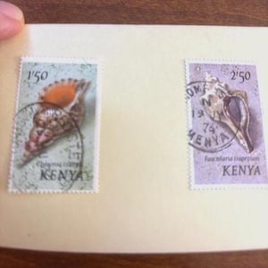 Set of 8 1976  Kenya, Africa shell Stamps.  Includes 5c, 10c, 15c, 20c, 25c, 30c, 1'50, and 2'50.   Used.  Excellent condition.