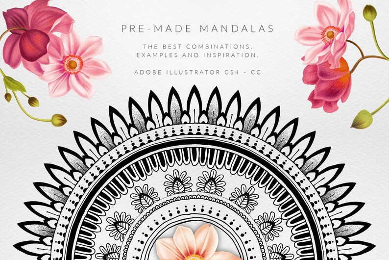 Mandala Illustrator Brushes Etsy