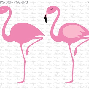 flamingo svg, summer svg, flamingo cut file, beach svg, pink flamingo svg, flamingo monogram, flamingo shirt, svg files, svg file for cricut