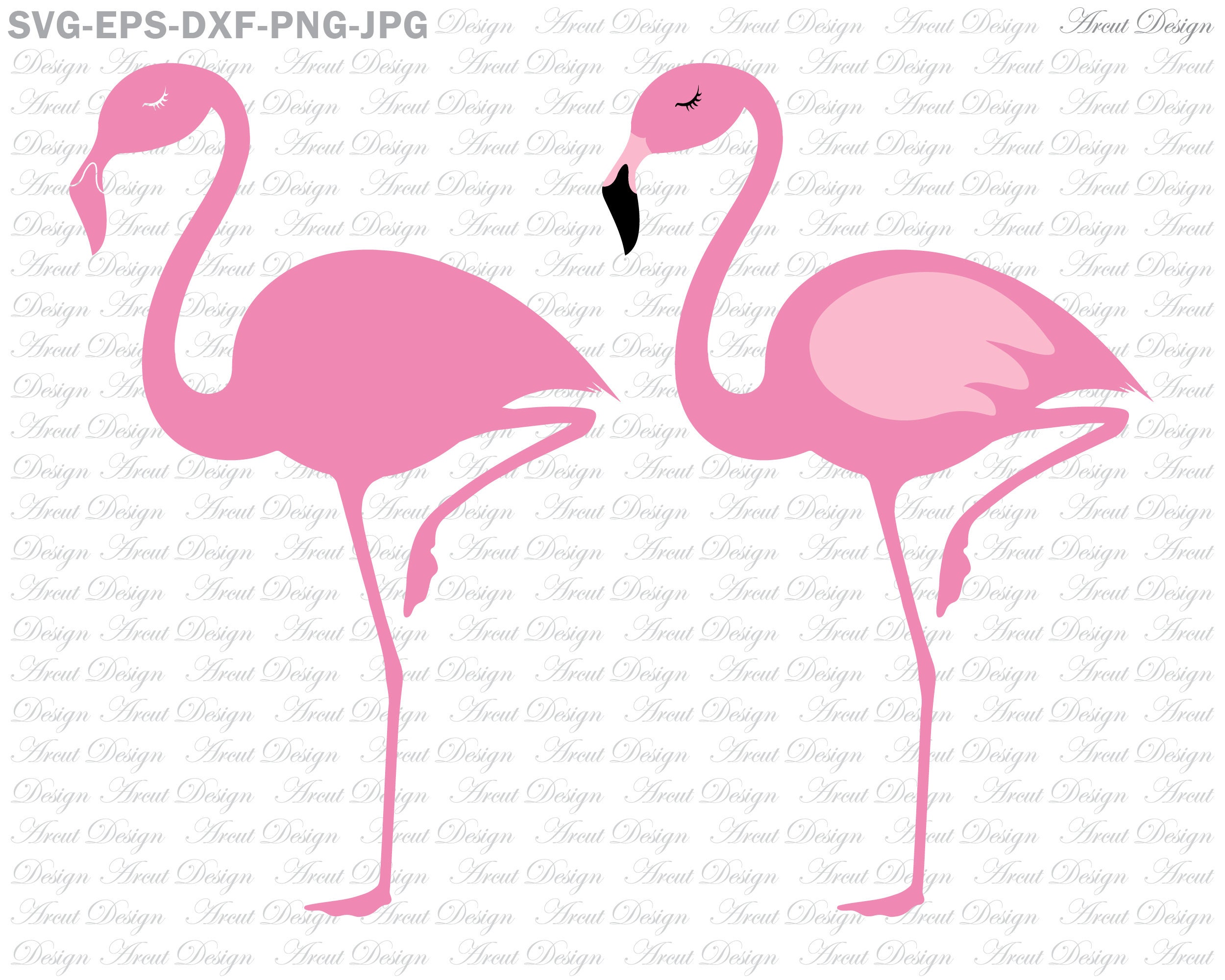 Download Monogram Flamingo Svg Summer Svg Designs Flamingo Svg Flamingo Monogram Svg Monogram Svg Summer Cut File Cricut Svg Digital Art Collectibles Colonialgolfhart Com