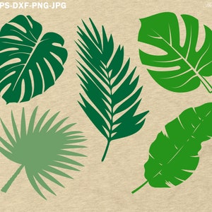 Hojas Tropicales SVG, Plantas Tropicales Svg, hoja svg, hojas svg, hojas de monstera svg, hoja de palma svg,verano svg,leaves silhouette,tropical leaf
