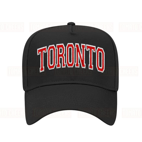 Toronto Hat City State Raptors Blue Jays Maple Leafs Embroidered Hat Custom  Retro Block Arc Snapback Cap Fast Ship -  Canada
