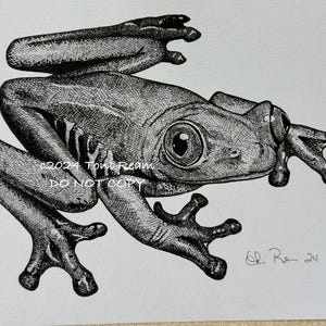 May include: Black and white pen and ink drawing of a frog with a textured, stippled style. The frog is in a sitting position with its legs outstretched. The drawing is signed "Eli. Rem 24" in the lower right corner. The text "©2024 Tone Realm DO NOT COPY" is in the lower left corner.