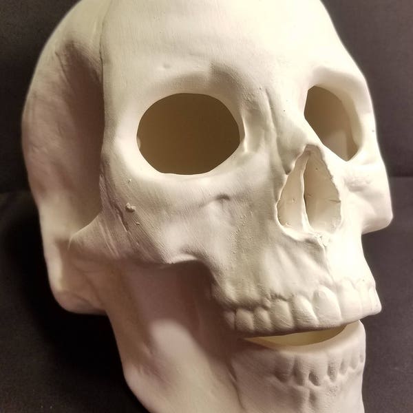 Ceramic bisque skull