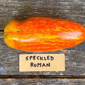 Speckled Roman Heirloom Paste Tomato Seeds / Organically Grown  / Packet of 20 Seeds  / Premium Heirloom Tomato Seeds