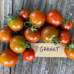 Garnet Cherry Tomato Seeds / Organically Grown  / Packet of 20 Seeds  / Premium Heirloom Tomato Seeds