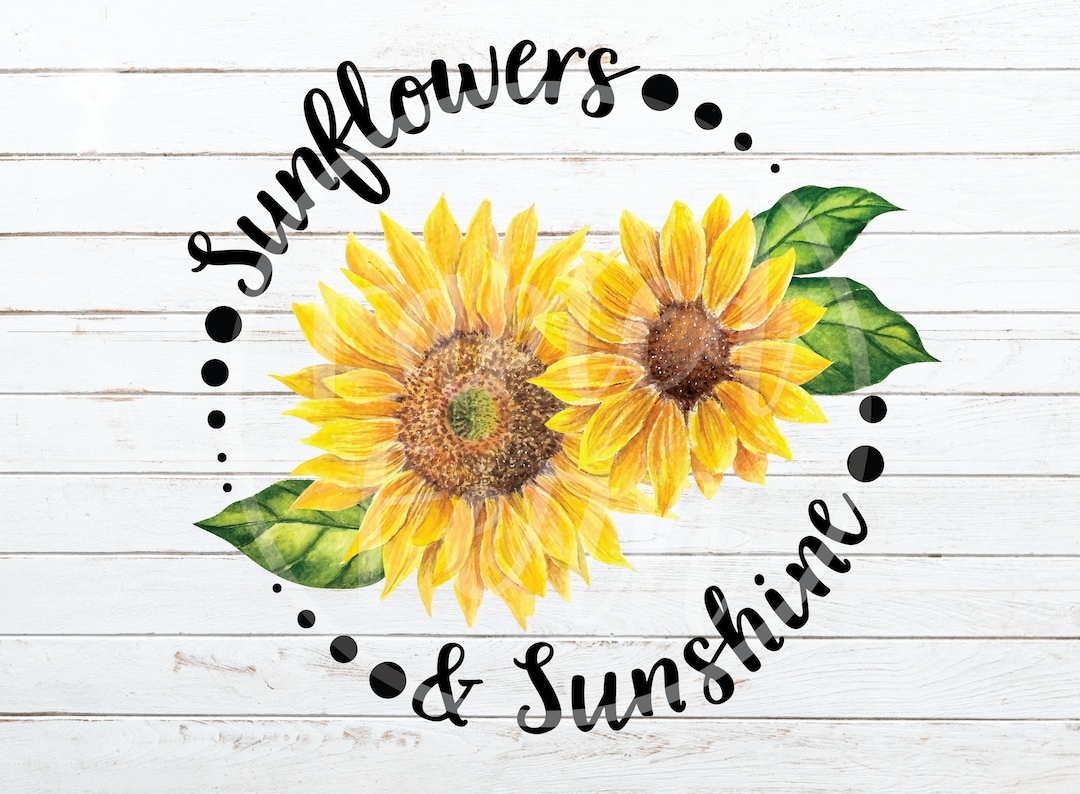 Sunflowers and Sunshine Graphic With Text PNG Instant Download Sublimation  T-shirt Design With Sunflower Typography Gardening - Etsy