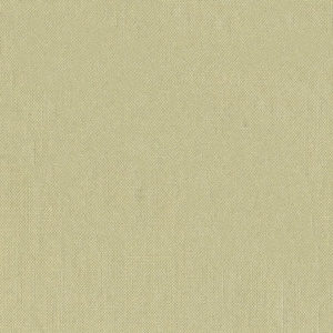 Quilting Cotton Michael Miller Khaki Cotton Couture Fabric By the Yard