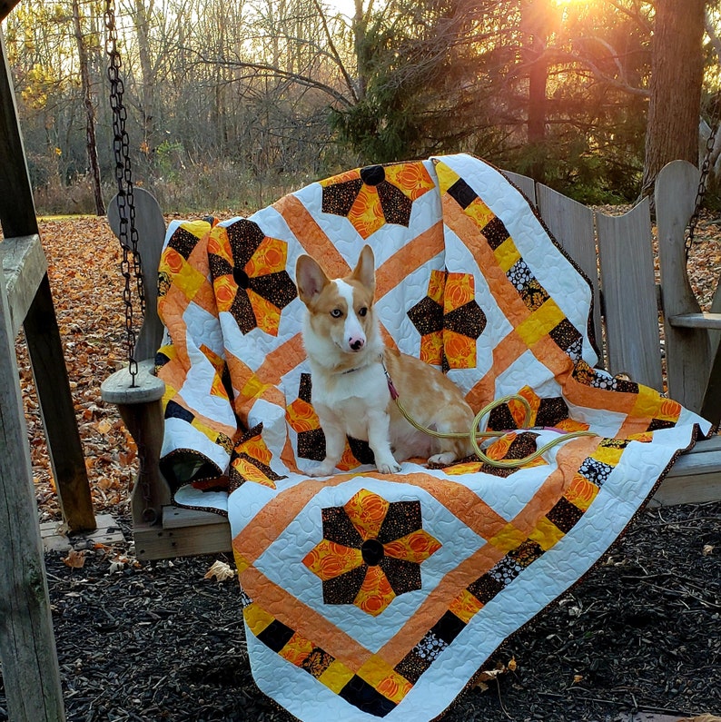 May include: A white and brown corgi dog sits on a white and orange patchwork quilt. The quilt is on a wooden swing set. The dog is wearing a pink collar and leash.