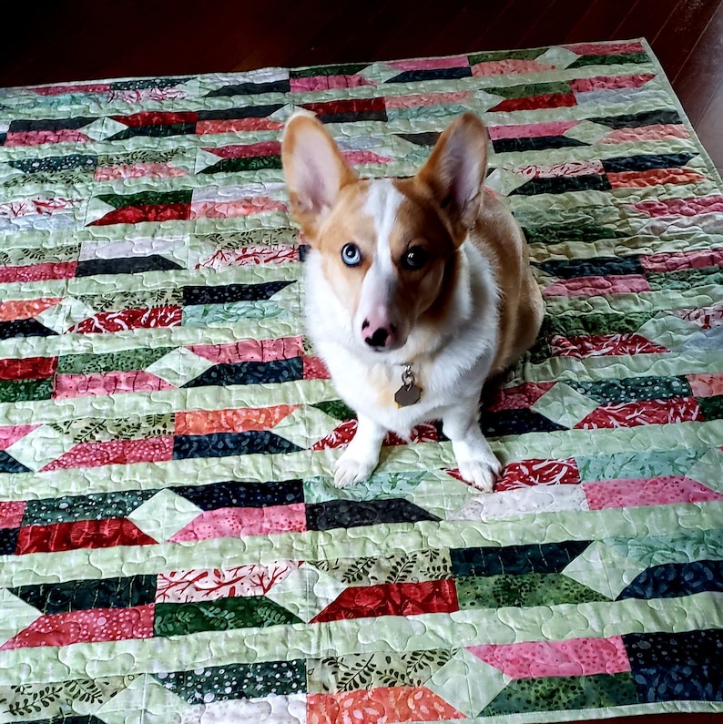 May include: A white and brown dog with blue eyes sits on a green, red, and pink patchwork quilt.