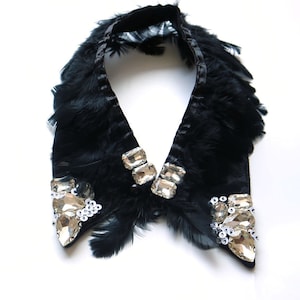 May include: A black velvet collar with feather trim and large rhinestone embellishments.