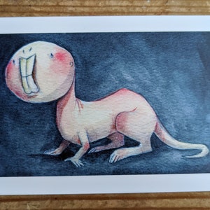 Cartolina – Molerat