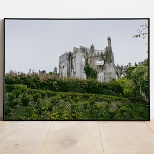 Wanddekoration Birr Castle in Irland, Gotische Architektur-Perspektivposter, Gartenblick-Fotodruck, Naturdekor
