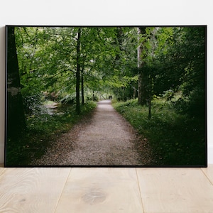 Ireland garden photography, Photographic print of a walk in a forest amid nature, Perspective and symmetry walk amongst the trees