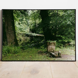 Ireland travel photography, Photographic print of nature with sculpture and fallen tree over a river, Perspective over a ruin in the garden