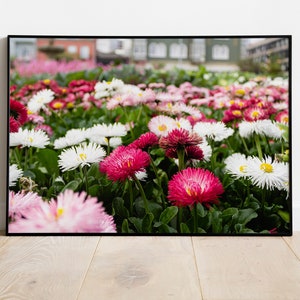 Jardín de flores con impresión fotográfica, Arte floral de la pared, Póster rosa, Fotografía botánica, Decoración de la habitación de la niña, Viajes por Europa